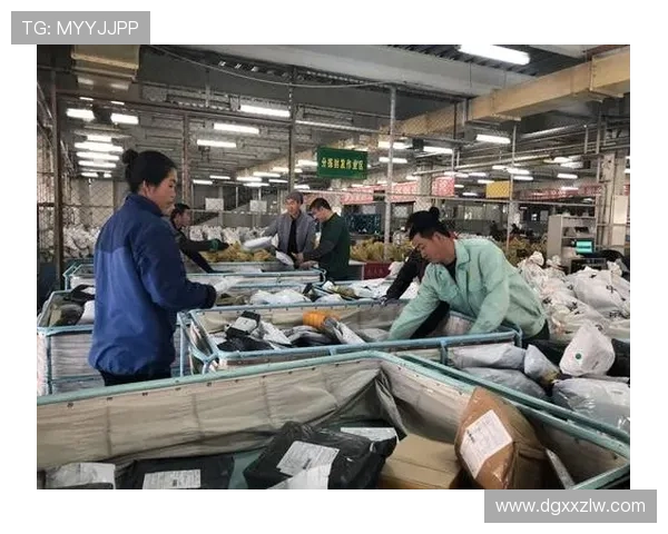 对话王静:回顾羽毛球生涯中的挑战与成就 对话王静:回顾羽毛球生涯中的挑战与成就